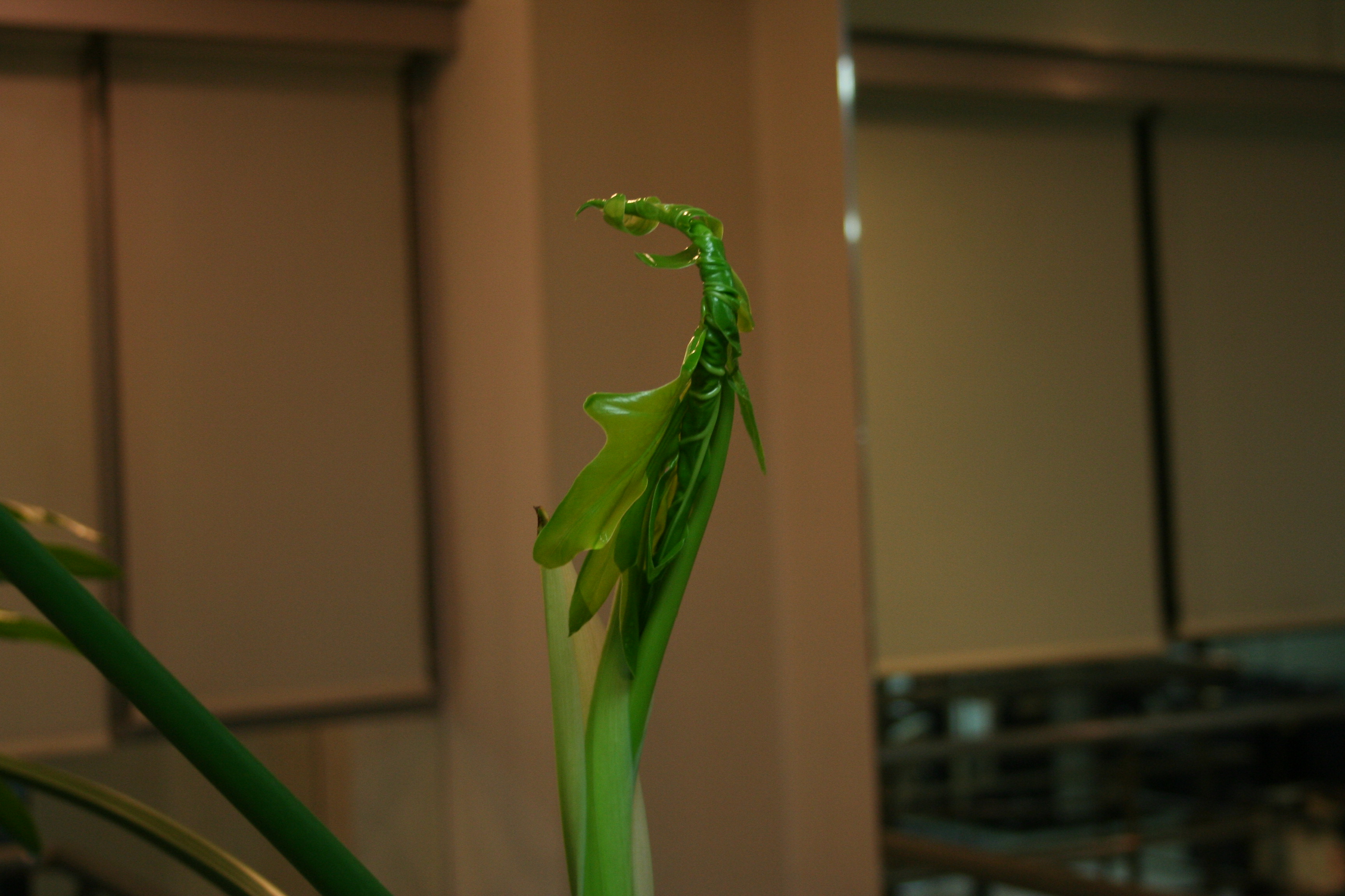 20090306_0017.JPG