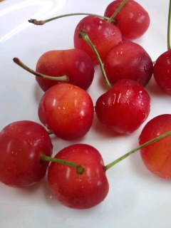 cherry.jpg